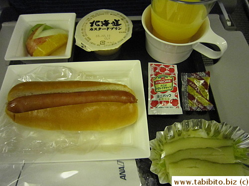 Second meal: one measly hotdog, custard pudding