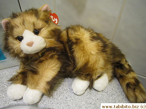 Brought home this cat from Rainforest Cafe which looks like Efoo! He has the same triangular white patch on the face,disproportionally large paws and even a crooked tail!