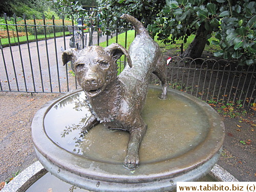 Dogs are well treated in Britain