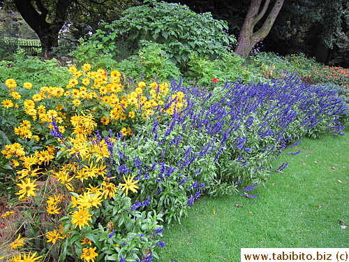 Great colors