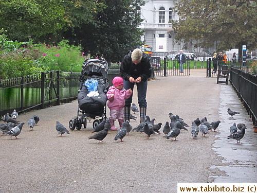 A mother and child feed pigeons