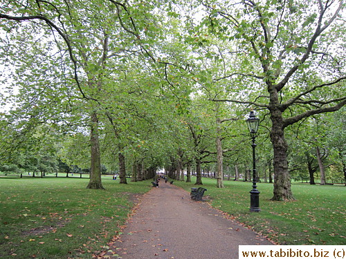 Walking through St. Jame's Park to get to Buckingham Palace