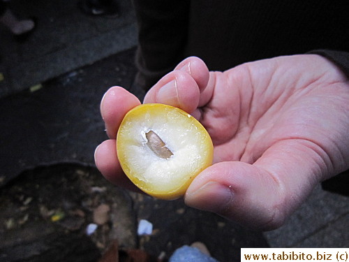 Very sweet: tastes like sugar cane, texture like fresh water chestnut