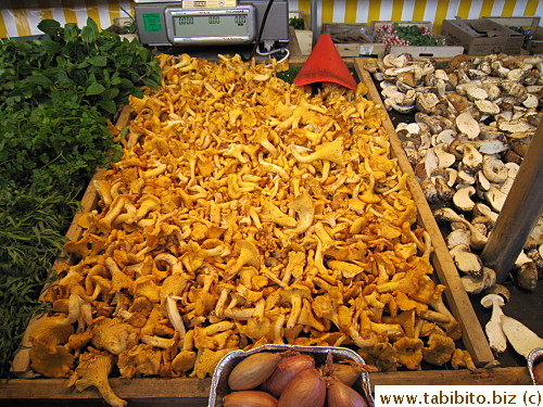 Chanterelle