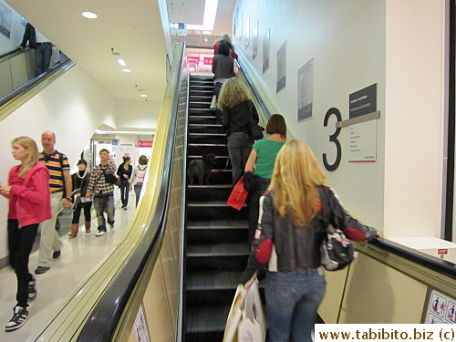 Dog on escalator in Printemps Department Store