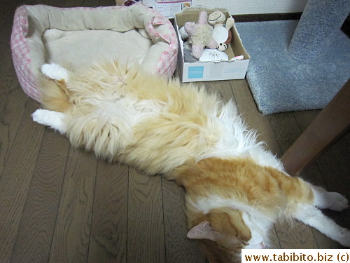 Efoo completely spilling out of his bed