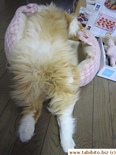 who likes to sleep stretched out