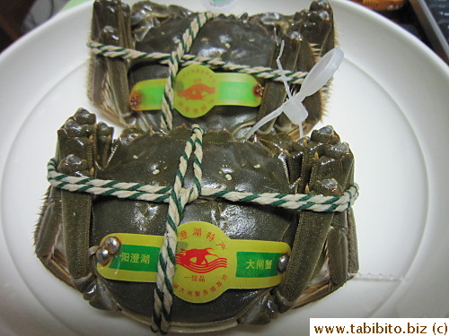 Shanghai hairy crabs from Ueno