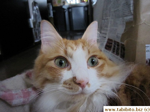 possibly startled by a piece of paper that fell on the floor!