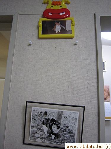 Pictures on the wall