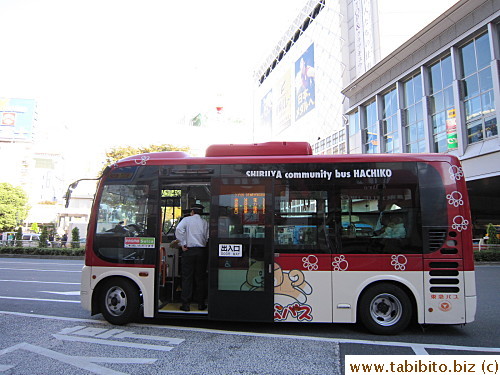 Cute little Hachiko Bus