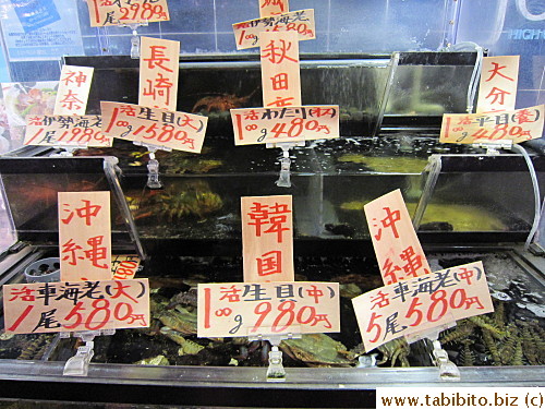 Live fish tank in Tokyu Plaza, Shibuya
