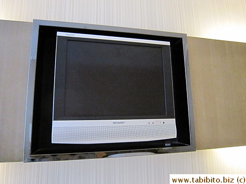 Flat screen TV