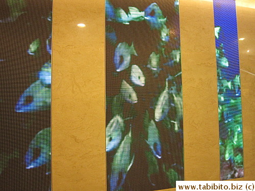 A perfect nook inside K11 offers benches and nature video