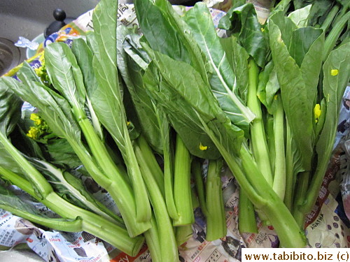 Choi sum
