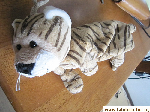 The only non-food item I bought: tiger pencil case