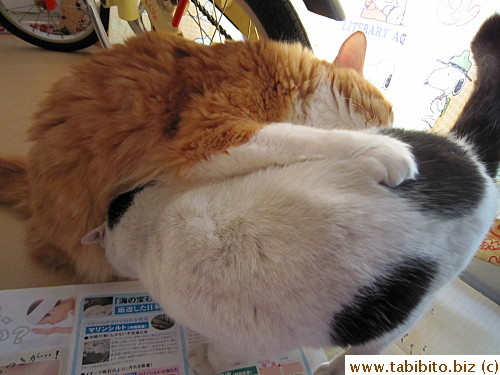 MT, “I was saying if I could bury my face in your tummy.”