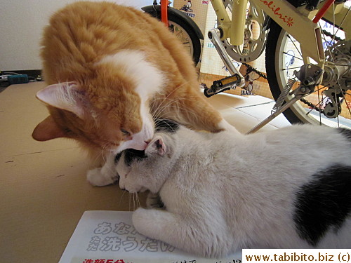 Efoo,” You always smell so nice.”