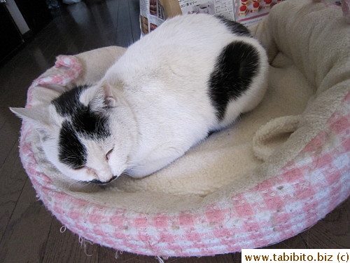 She likes Efoo's bed