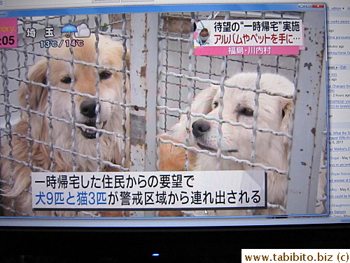 Nine dogs and three cats were also brought back