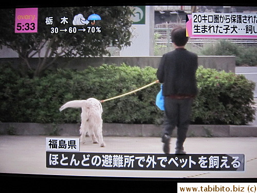 They get daily exercise