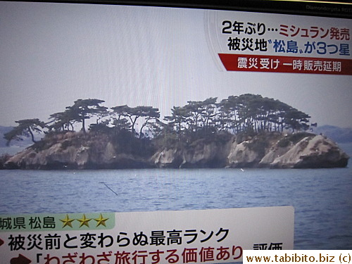 Thank God for small favors that one of three natural wonders of Japan, Matsushima, is not ravaged by the tsunami (but very close)