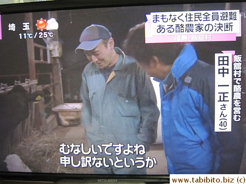 Yet another sad story: This dairy farmer in Iidatemura of Fukushima prefecture apologizes to his cows