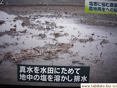 Fresh water is being pumped into damaged fields to dilute the salt level and then drained away
