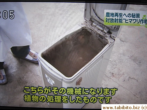 They are then processed in special machines 