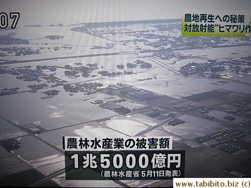 Damage to agriculture amounts to 