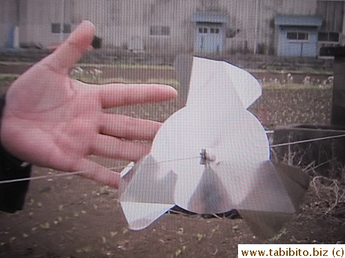 of these palm-sized windmill thingies