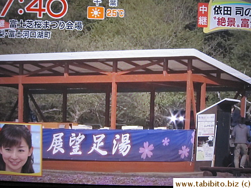 Onsen (hot spring) foot bath inside the park
