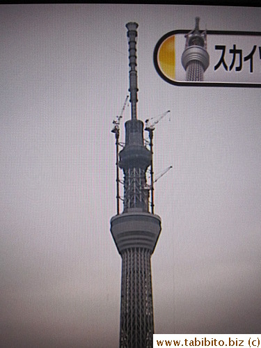 When the Sky Tree was near completion, one of the main projects was to remove the supporting cranes