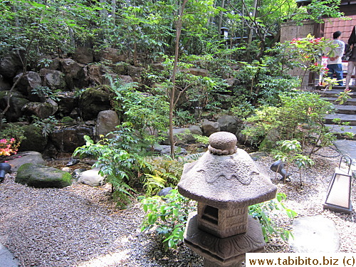 A Japanese garden outside