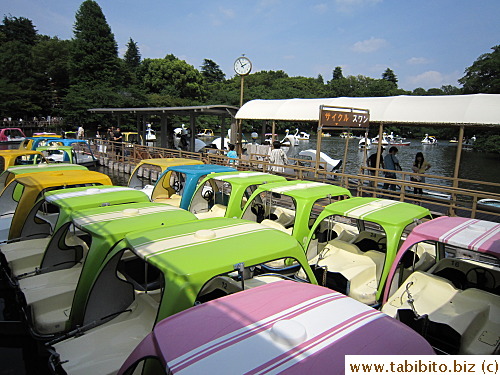 Lots of paddle boats for hire
