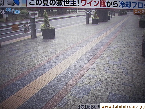 Some roads in Tokyo such as this Yotsuya Shopping Street in Itabashi is paved with cooling blocks