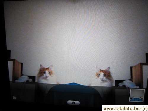 Wah, Efoo has a twin!