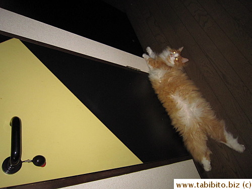 Errrr, I need to use the toilet, Efoo