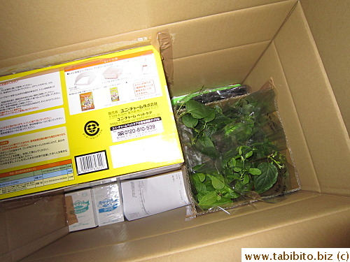 Bought plants and other stuff for Efoo