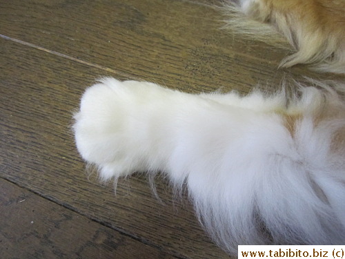 I loooove Efoo's big round stubby feet!