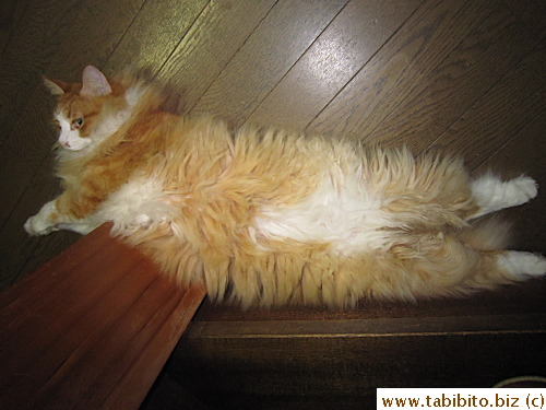 Why do you sleep in weird places?