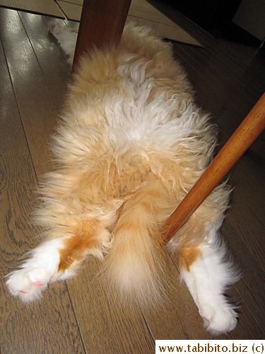 What's going on here?