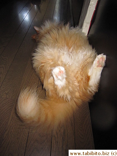 Hey, where have I seen this before?