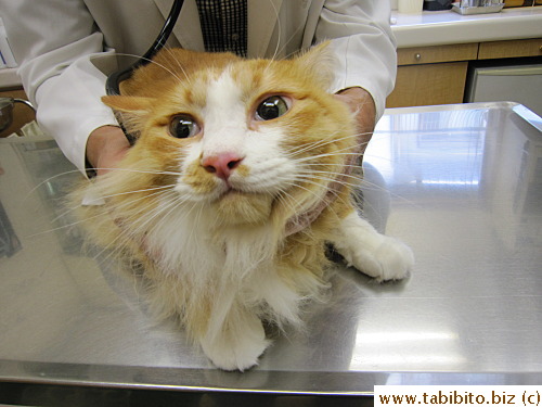 Efoo was SO FREAKED OUT on the table his face changed!