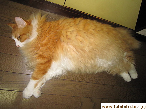 Not fat in this angle either