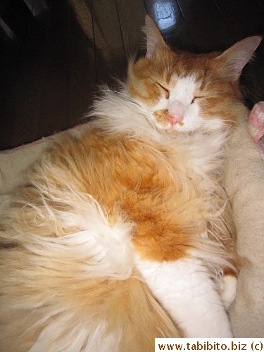 Sleepy Efoo