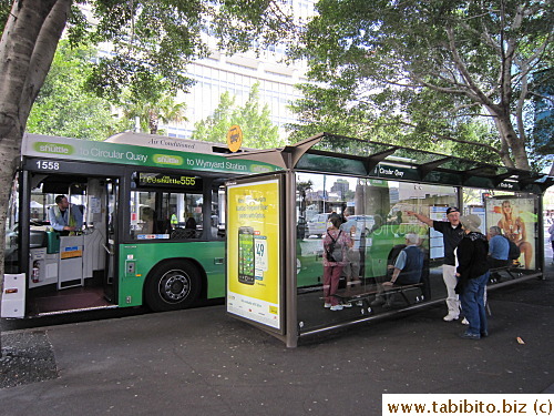 Bus 555 is free for all