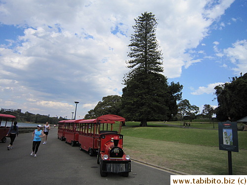 You can ride on this little bus to go around the park (for a fee)