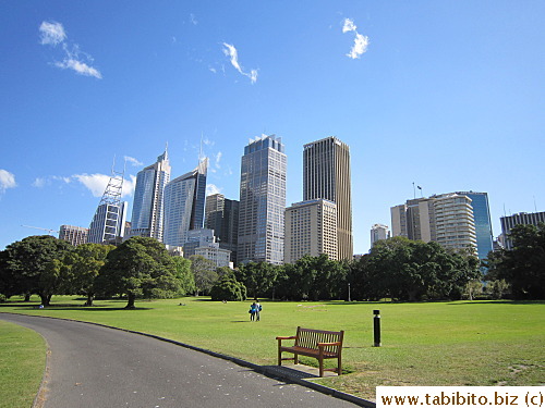 An oasis in the city