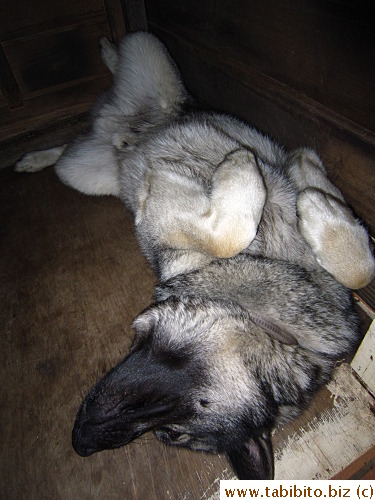 Looking at this, I'd have to say no